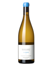 Jérôme Bretaudeu Muscadet Gabbro Clos des Bouquinardières 2023 White Wine