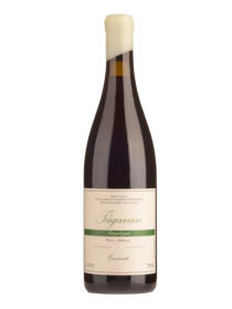 Envínate Táganan Margalagua 2020 Red Wine