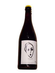 copy of Pierre Jancou Que du Raisin Rouge 2023 Red Wine