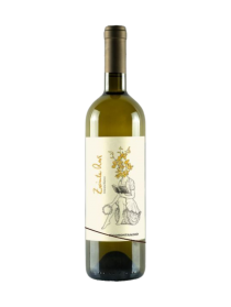 Azienda Ficomontanino Zacinta Revi Tinto 2020