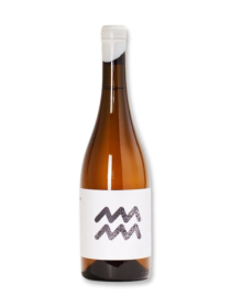 11th House Blanco 2019