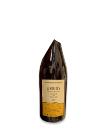 Domaine des Cavarodes Poulsard Chemenot Tinto 2022