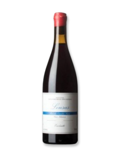 Envínate Lousas Parcela Seoane Tinto 2019