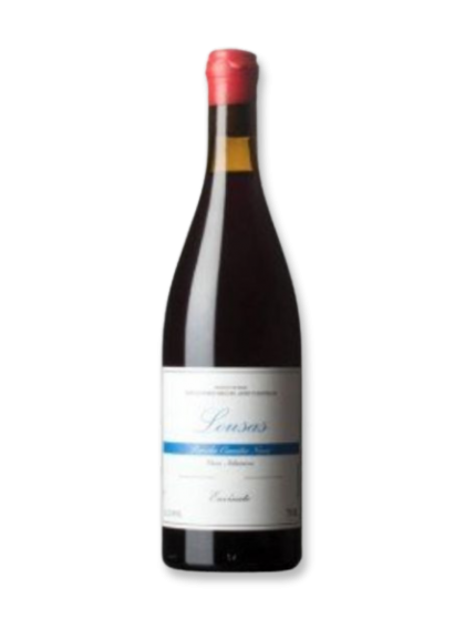 Envínate Lousas Parcela Seoane Tinto 2019