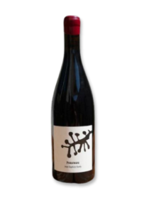 Jean Baptiste Ponceau 2021 Red Wine