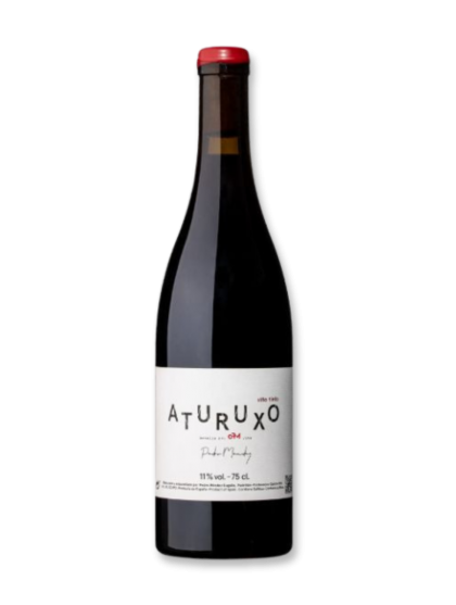Pedro Méndez Aturuxo Tinto 2020