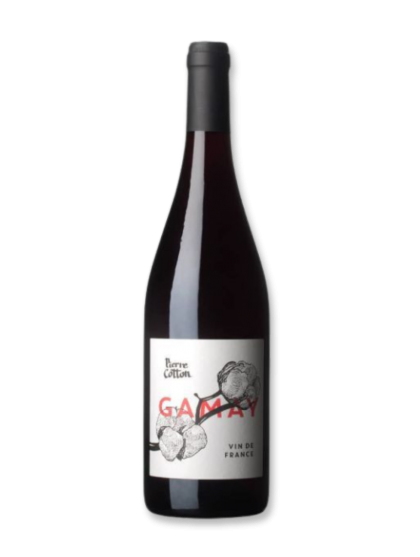 Pierre Cotton Gamay Tinto 2019